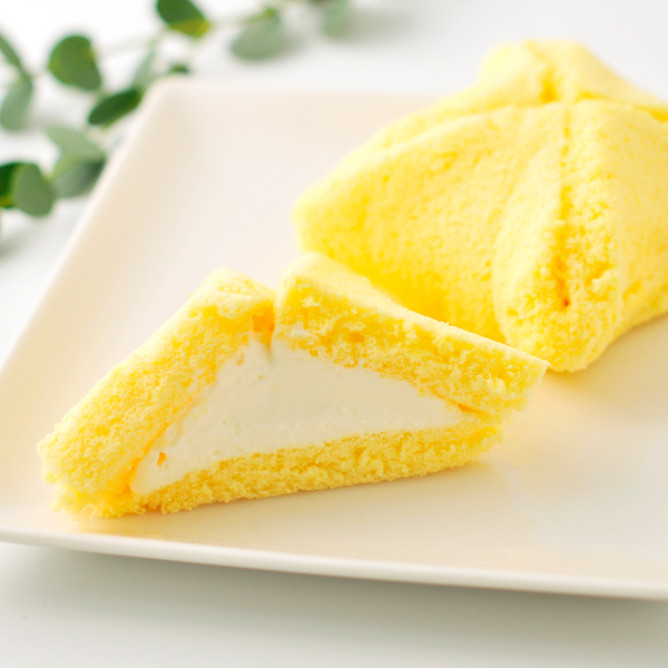 France Cake "Pyraene" - Vanilla 5PC Box【Bon Toraya】